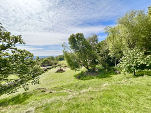 Photo 37- click for photo gallery